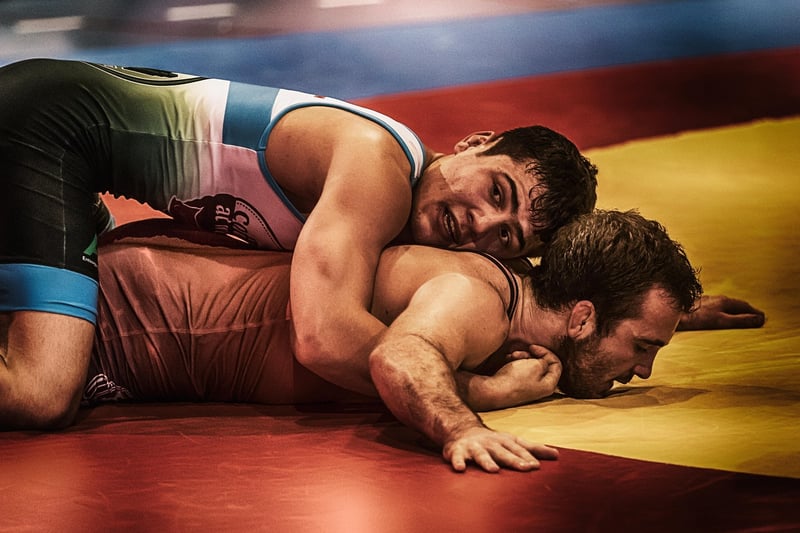 Jiu-Jitsu fighters